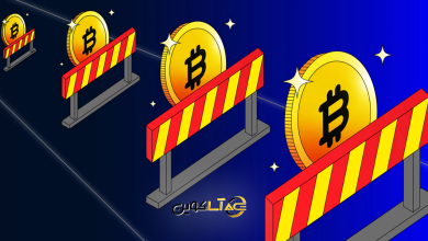 بیت‌ کوین در برخی کشورها